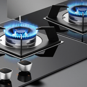 Gas Stove